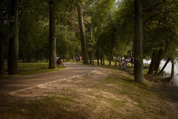 Le rôle clé de l'environnement dans le maintien de l'autonomie